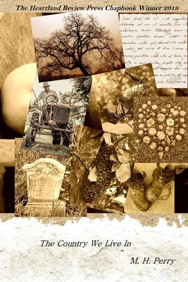 The Country We Live In by Perry, Mary H.