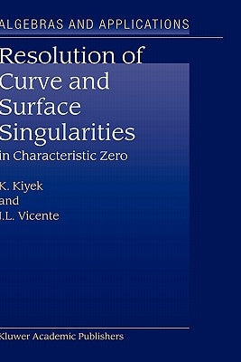 Resolution of Curve and Surface Singularities: In Characteristic Zero by Kiyek, K.