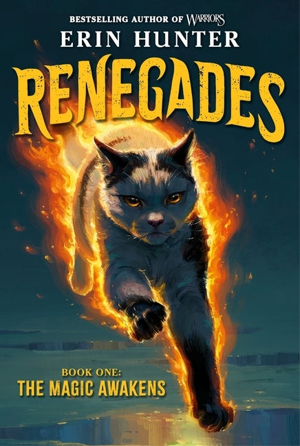 Renegades #1: The Magic Awakens by Hunter, Erin
