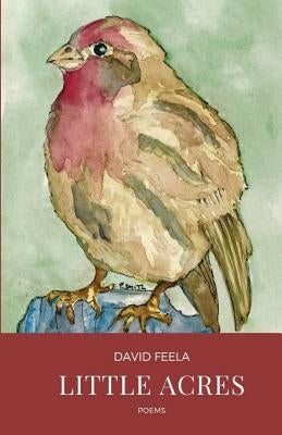 Little Acres by Feela, David