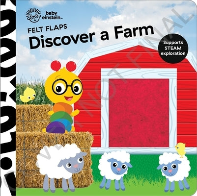 Baby Einstein: Discover a Farm Felt Flaps by Pi Kids