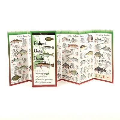 Fishes of the Outer Banks of North Carolina by Shipp, Robert
