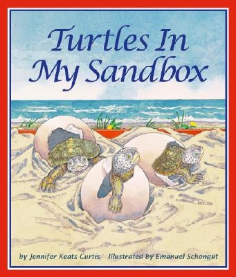 Turtles in My Sandbox by Curtis, Jennifer Keats