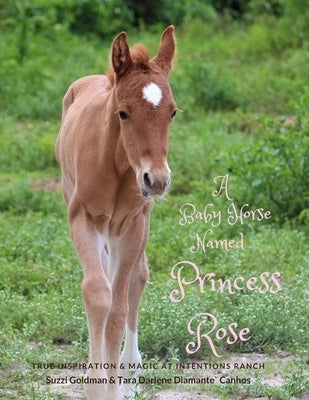 A Baby Horse Named Princess Rose: True Inspiration & Magic at Intentions Ranch by Diamante Canhos, Tara Darlene