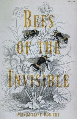 Bees of the Invisible by Donicht, Maximiliane