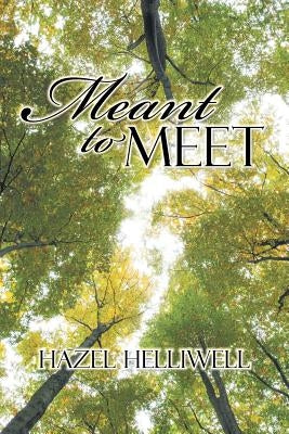 Meant to Meet by Helliwell, Hazel