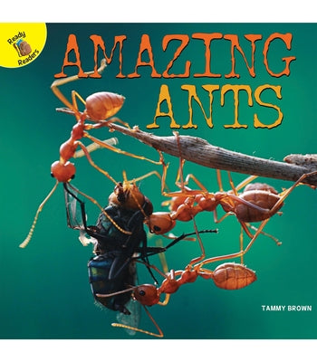 Amazing Ants by Brown, Tammy