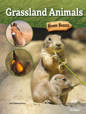 Grassland Animals by Cocca, Lisa Colozza