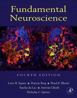 Fundamental Neuroscience by Squire, Larry