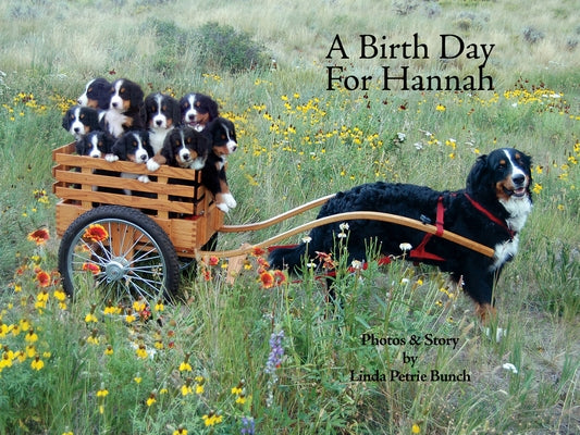 A Birth Day for Hannah by Petrie Bunch, Linda