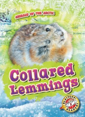 Collared Lemmings by Pettiford, Rebecca