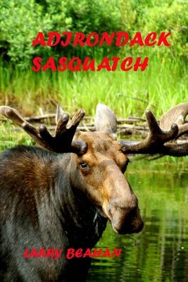 Adirondack Sasquatch by Beahan, Larry