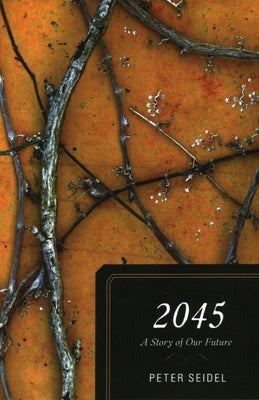 2045: A Story of Our Future by Seidel, Peter