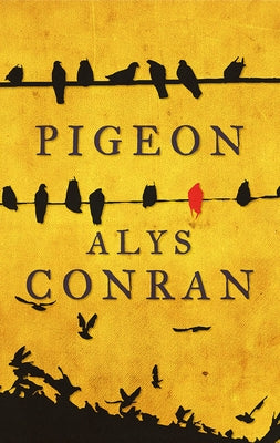 Pigeon by Conran, Alys