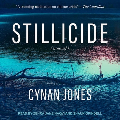 Stillicide by Jones, Cynan