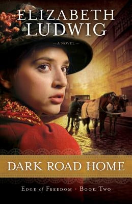 Dark Road Home by Ludwig, Elizabeth