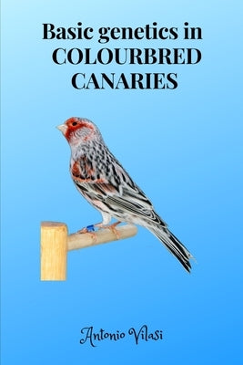 Basic genetics in COLOURBRED CANARIES by Vilasi, Antonio