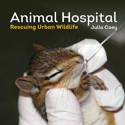 Animal Hospital: Rescuing Urban Wildlife by Coey, Julia