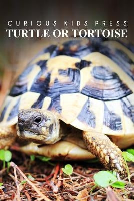 Turtle Or Tortoise - Curious Kids Press: Kids book about animals and wildlife, Children's books 4-6 by Press, Curious Kids
