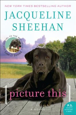 Picture This by Sheehan, Jacqueline