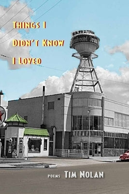 Things I Didn't Know I Loved by Nolan, Tim