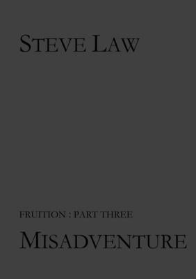 Misadventure by Law, Steve