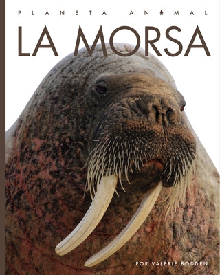 La Morsa by Bodden, Valerie