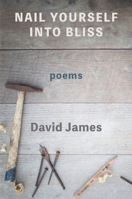 Nail Yourself Into Bliss by James, David