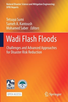 Wadi Flash Floods: Challenges and Advanced Approaches for Disaster Risk Reduction by Sumi, Tetsuya
