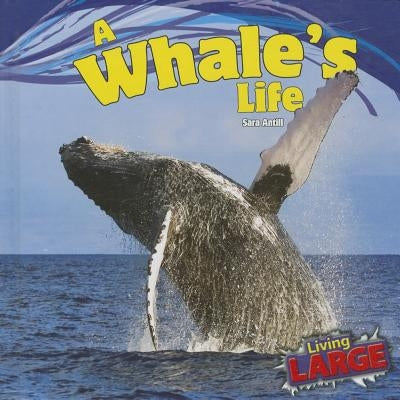 A Whale's Life by Antill, Sara