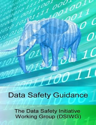 Data Safety Guidance by Hampton, Paul
