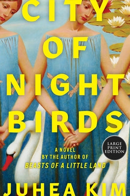 City of Night Birds by Kim, Juhea