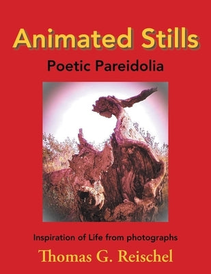 Animated Stills: Poetic Pareidolia by Reischel, Thomas