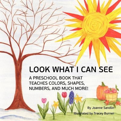 Look What I Can See: A Preschool Book that Teaches Colors, Shapes, Numbers, and Much More! by Burner, Tracey