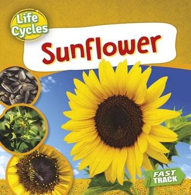 Sunflower by Dickmann, Nancy