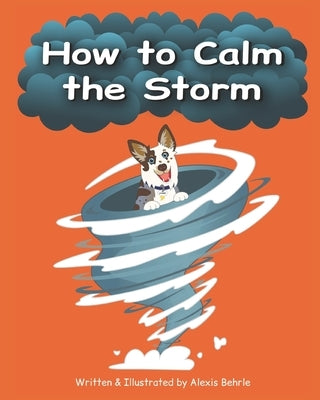 How to Calm the Storm by Behrle, Alexis