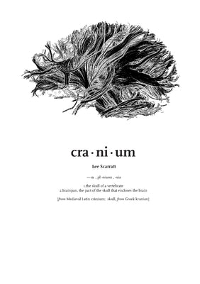 Cranium by Scarratt, Lee