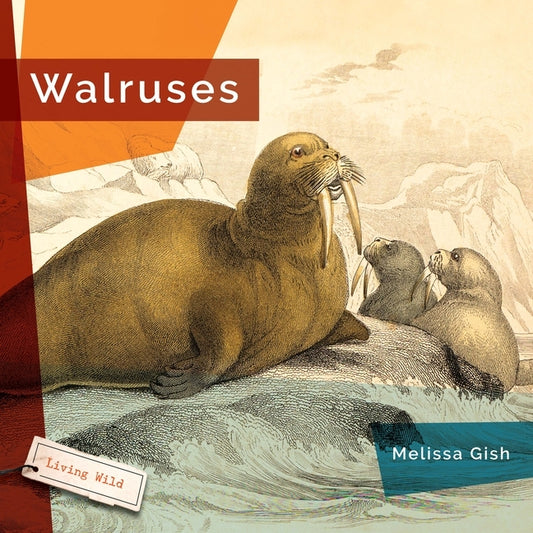 Walruses by Gish, Melissa