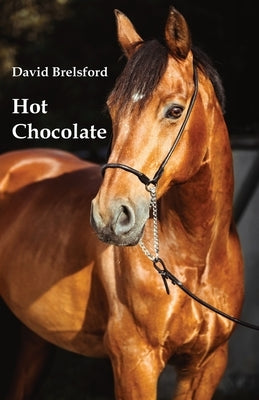 Hot Chocolate by Brelsford, David