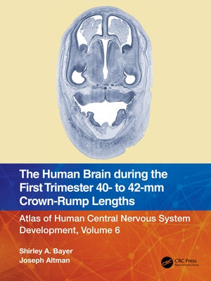 The Human Brain during the First Trimester 40- to 42-mm Crown-Rump Lengths: Atlas of Human Central Nervous System Development, Volume 6 by Bayer, Shirley A.