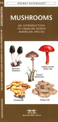 Freshwater Fishes: An Introduction to Familiar North American Species by Kavanagh, James