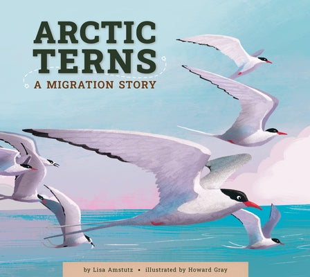 Arctic Terns: A Migration Story by Amstutz, Lisa