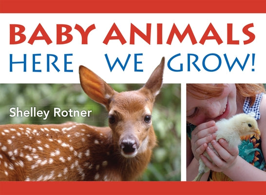 Baby Animals!: Here We Grow by Rotner, Shelley