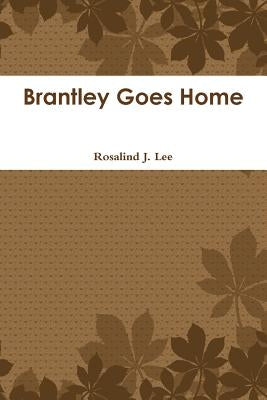 Brantley Goes Home by Lee, Rosalind J.