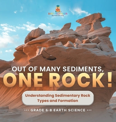 Out of Many Sediments, One Rock! Understanding Sedimentary Rock Types and Formation Grade 6-8 Earth Science by Baby Professor