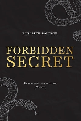 Forbidden Secret by Baldwin, Elisabeth