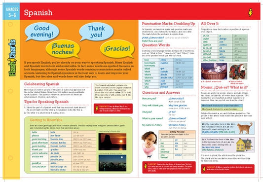 Spanish Flashcharts by Flash Kids