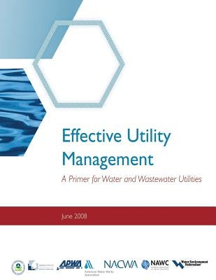 Effective Utility Management: A Primer for Water and Wastewater Utilities by Agency, Environmental Protection