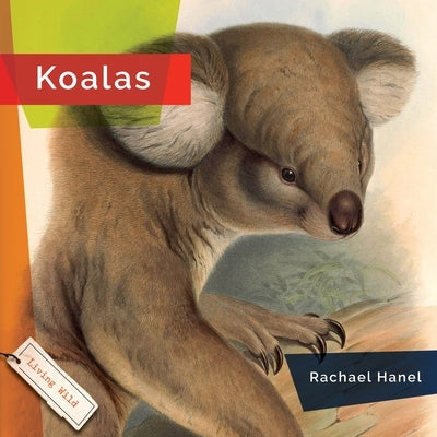 Koalas by Hanel, Rachael