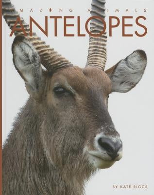 Antelopes by Riggs, Kate